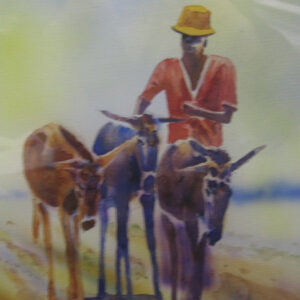 Man and Donkeys