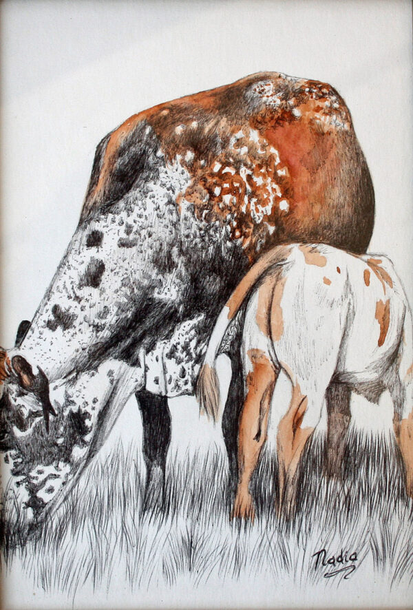 {je_artwork_artwork_medium_id}  {je_artwork_artwork_category_id} titled Nguni’s