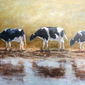 Cattle