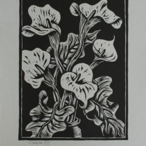 Arium Lillies