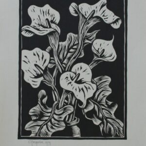 Arum Lilies