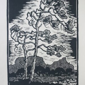 Trees in the wind
