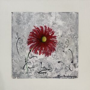 © Red Daisy Flower U/F