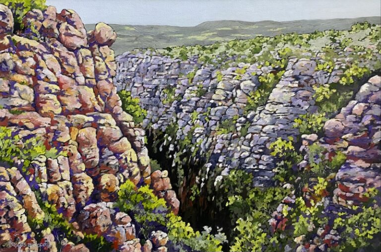 Oil on Stretched Canvas  Painting titled © Mhlabatini Kloof Magaliesburg u/f