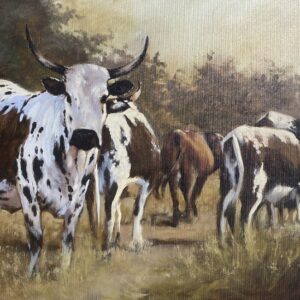 Nguni
