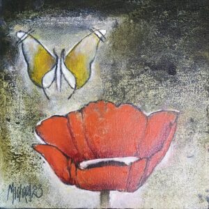 Poppy in red / Papawer in Rooi