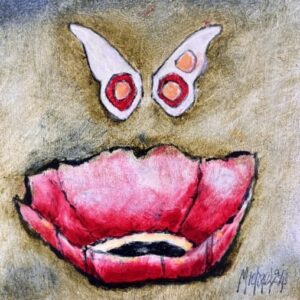 Poppy / Papawer