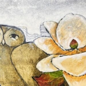 Magnolia-owl / Magnolia uiltjie