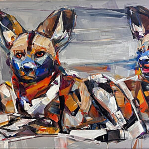 Wild dogs
