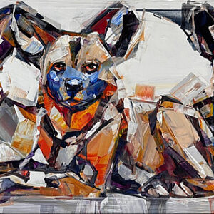 Wild dogs