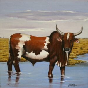 Nguni