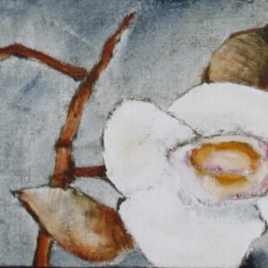 Camelias