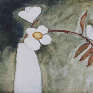 Camelias