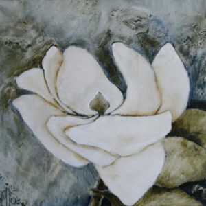 Magnolia