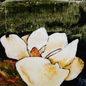 Magnolia