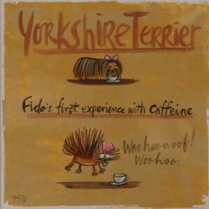Yorkshire/Coffee