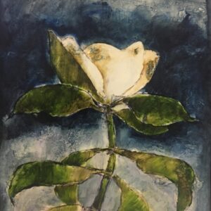 Magnolia