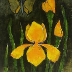 Iris