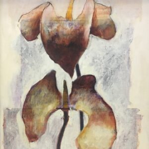 Anthuriums