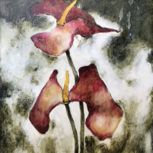 Anthuriums