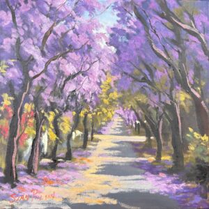 Jacaranda's