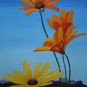 Daisy