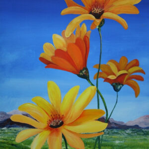 Daisy