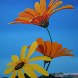 daisies