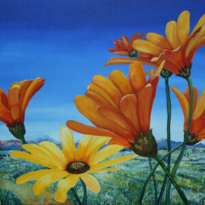 daisies
