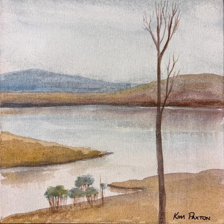 Mixed Medium  Painting titled (c) A day at the dam