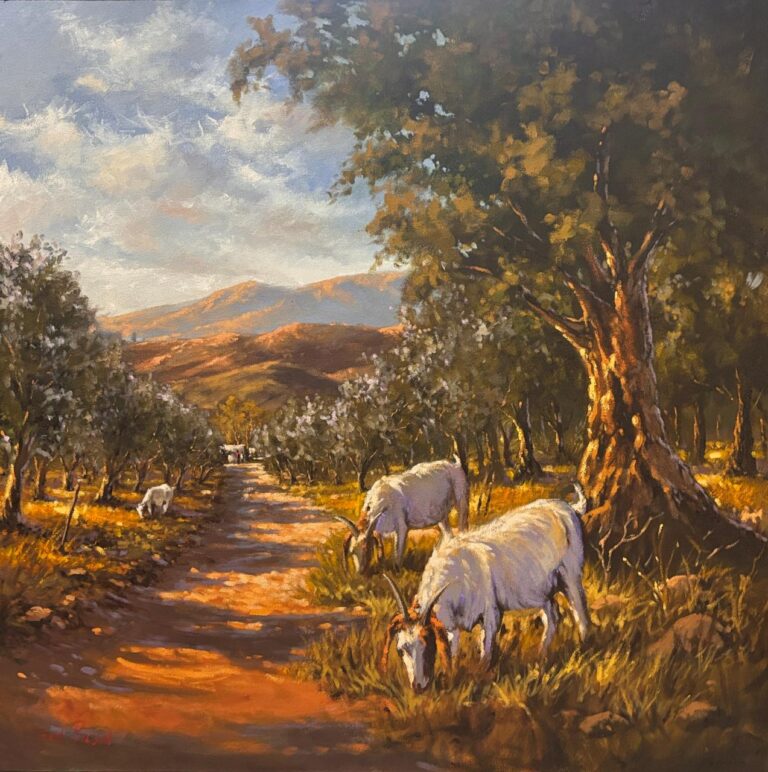 Oil on Stretched Canvas  Painting titled Olive grove