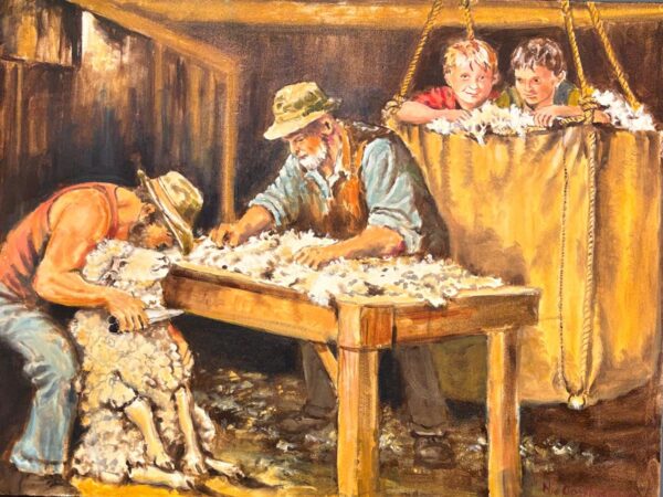 Nic Oosthuizen, South African Art, Alice Art Gallery, Sheep shearing