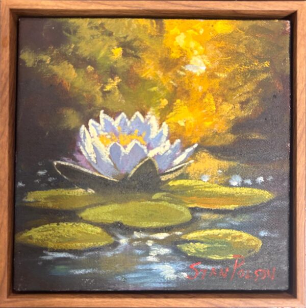 Stan Polson, Lilly pond, Alice Art Gallery, South African Art
